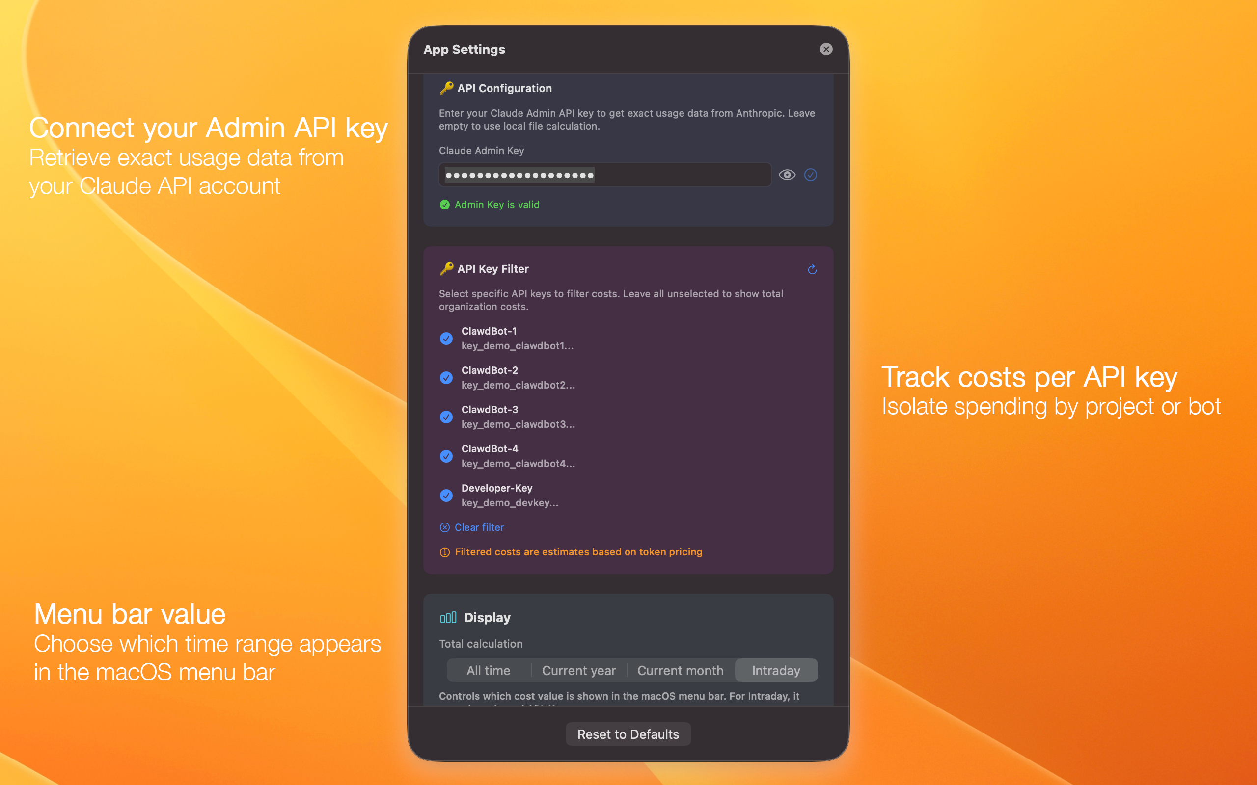 AI Token Usage Tracker — Settings panel showing Admin API key configuration, API key filter for multi-project tracking, and display options